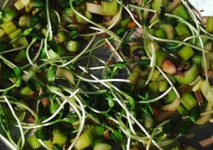 Stir-Fried Celery with Pistachios Recipe Image