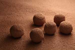 Chocolate Coconut Milk Truffles Recipe Image
