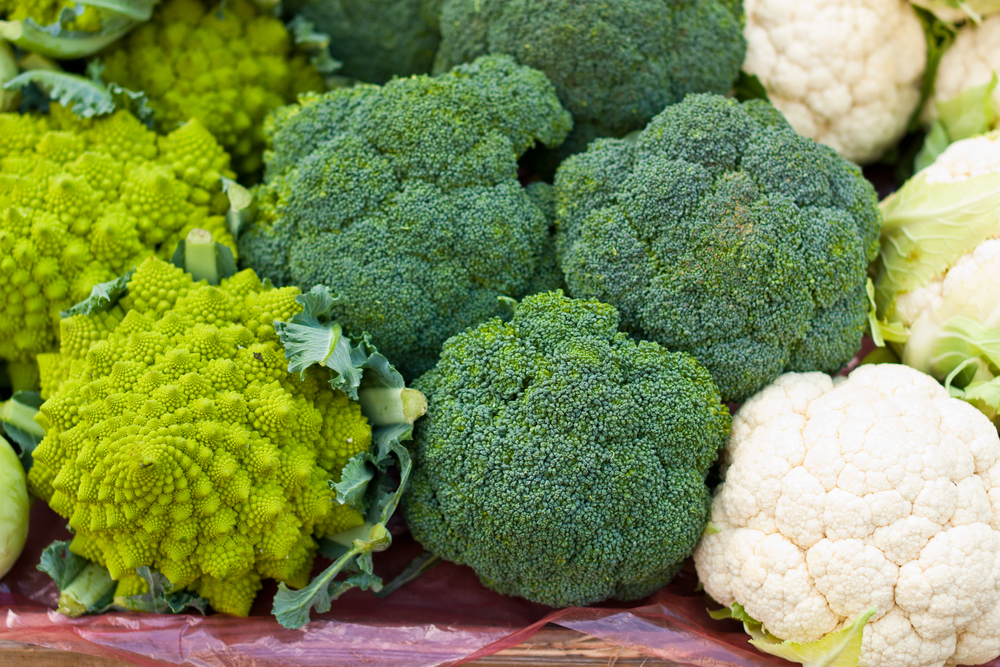 Cancer Prevention Image